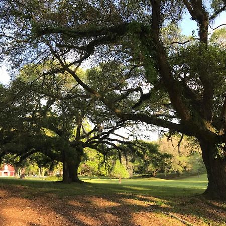Canemount Plantation Inn Westside Bagian luar foto